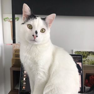 Meet your Posher, Mai